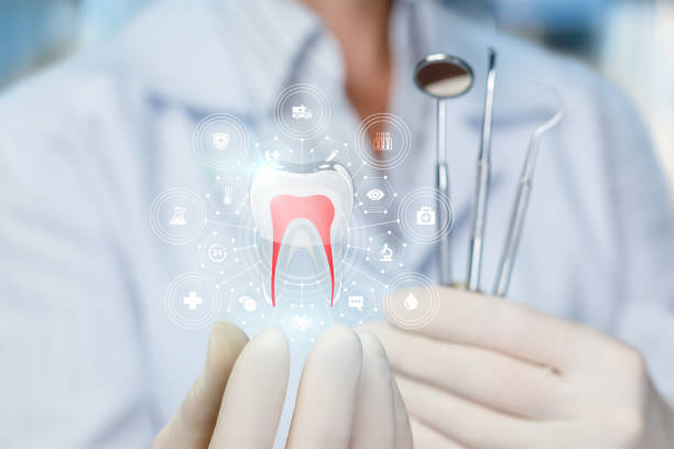 Why Choose Us for Your Dental Needs in Port Norris, NJ